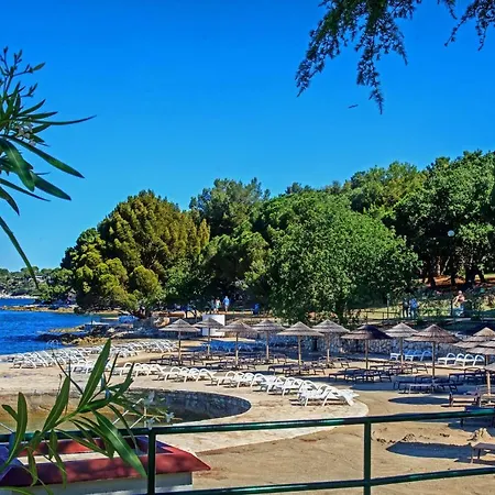 Apartament In Porec/istrien 37720